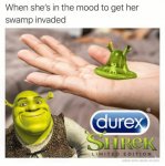 swamp thing.jpg