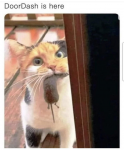 41200