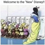 41241