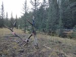 IMG_20220927_174332.jpg
