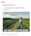 scarecrow.jpg