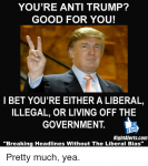 youre-anti-trump-good-for-you-bet-youre-either-a-11024998.png