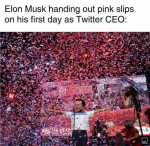 41893