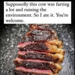 42249