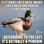 42308