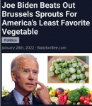 42394