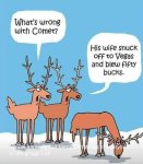 bucks.jpg