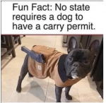 42453