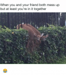 when-you-and-your-friend-both-mess-up-but-at-15717605.png