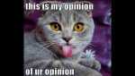 my thoughts of your thoughts.jpg