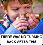 42685