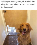 42757