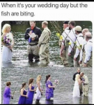 43048