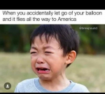 43077