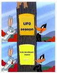 43078