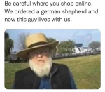 43079