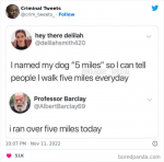 43195