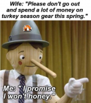 43202