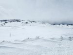 DE551778-6D45-42CB-A37C-B7BA46D69141.jpeg