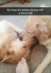 43545