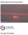 43733