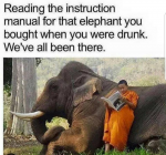 43775