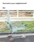 IMG_7159.jpeg