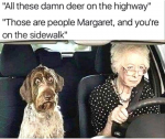 43828