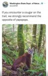 IMG_7166.jpeg