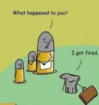 IMG_7170.jpeg