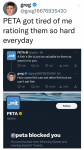 44113