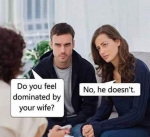 44253