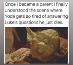 44262