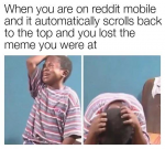 44300