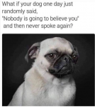 44305