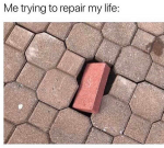 44319