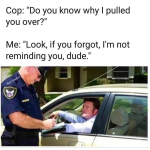 44323