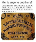 44367