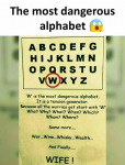 44368