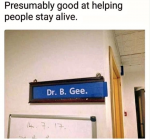 44392