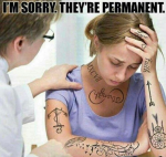 44428