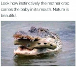 44429