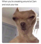 44430