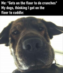 44431