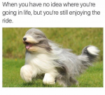 44460