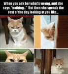 44528
