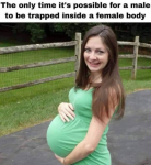 44581