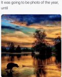 IMG_7477.jpeg