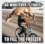 IMG_7640.jpeg