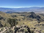 IMG_8255.jpeg